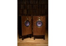 Boxe Ultra High-End 2 cai (Stand-uri Incluse)